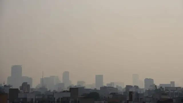 Expertos advierten que México mantiene una “simulación ambiental” pese a discursos oficiales