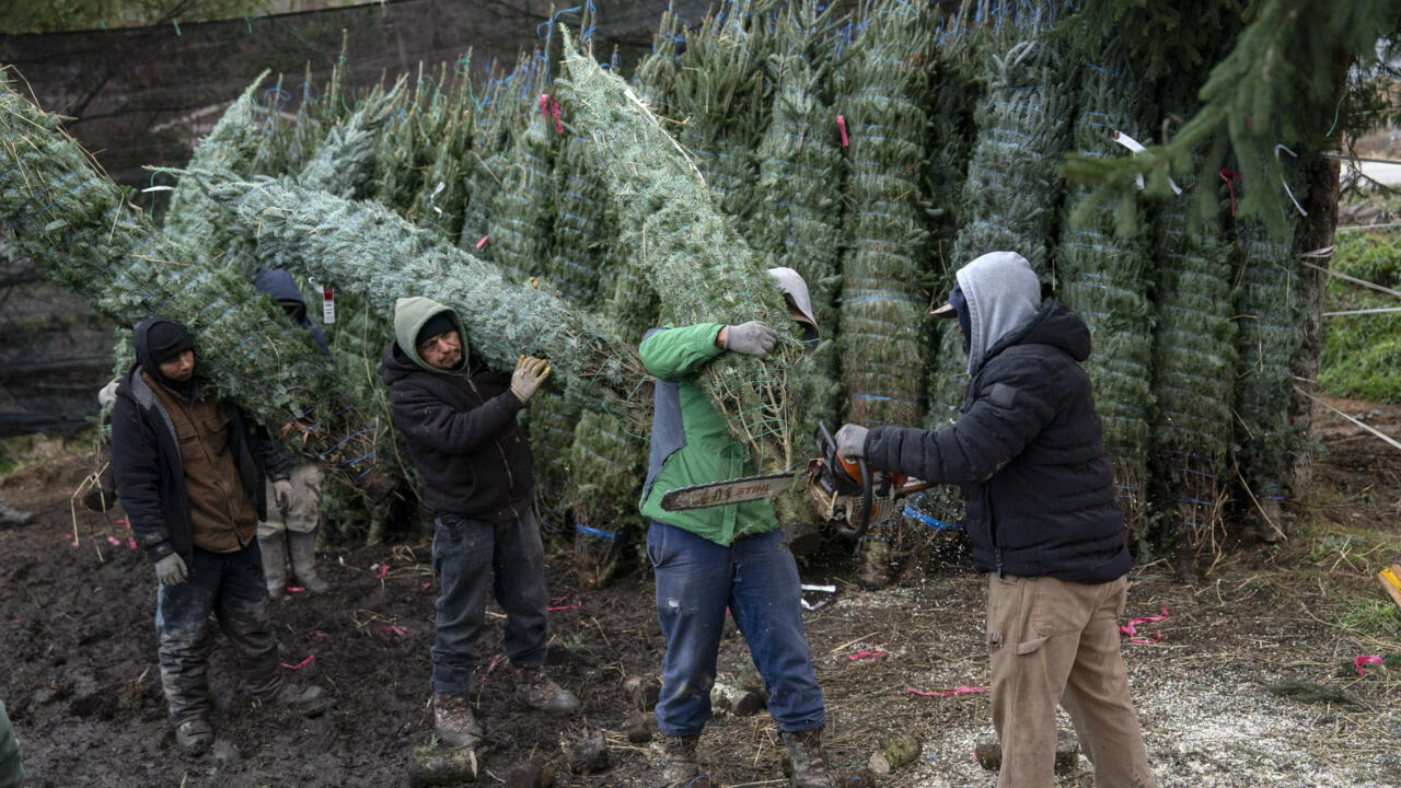 El desempleo en Estados Unidos sube a 4% en noviembre y enciende alertas sobre la fortaleza del mercado laboral