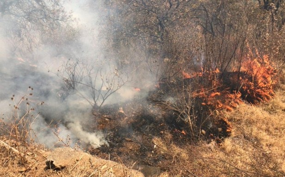 Aumentan incendios de pastizales en México por clima seco
