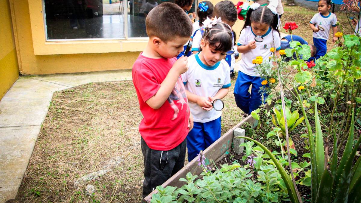 NIÑOS DE MEDELLÍN SE CONVIERTEN EN GUARDIANES DEL MEDIO AMBIENTE DESDE LA PRIMERA INFANCIA