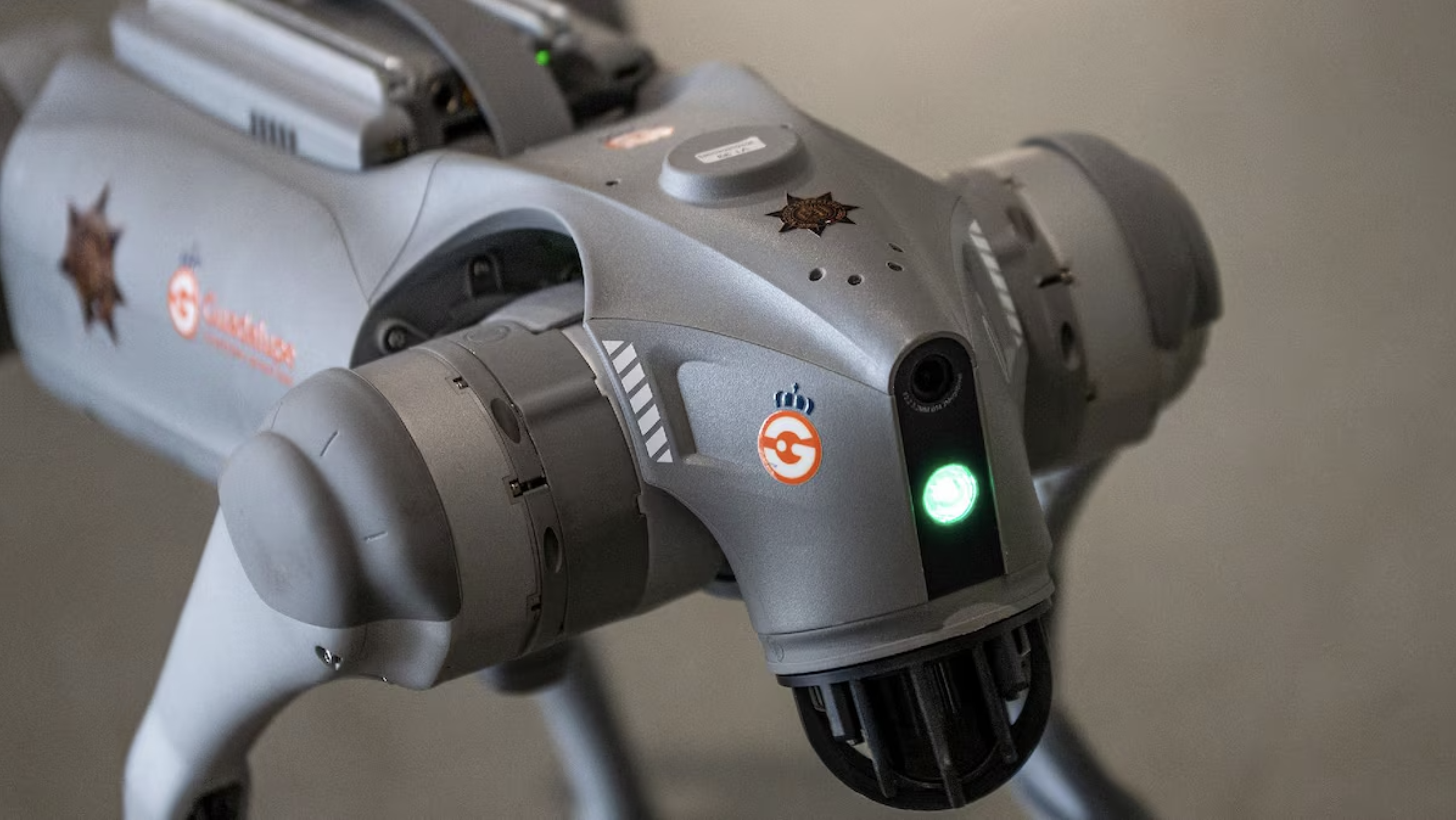 NUEVO LEÓN INVERTIRÁ 2.5 MILLONES EN PERROS ROBOT PARA REFORZAR SEGURIDAD RUMBO AL MUNDIAL 2026