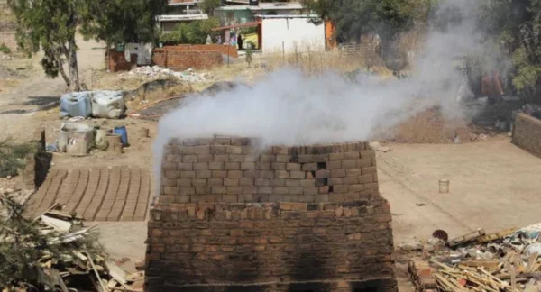 APOYOS A FAMILIAS LADRILLERAS EN LEÓN PROMUEVEN PRÁCTICAS ECOLÓGICAS