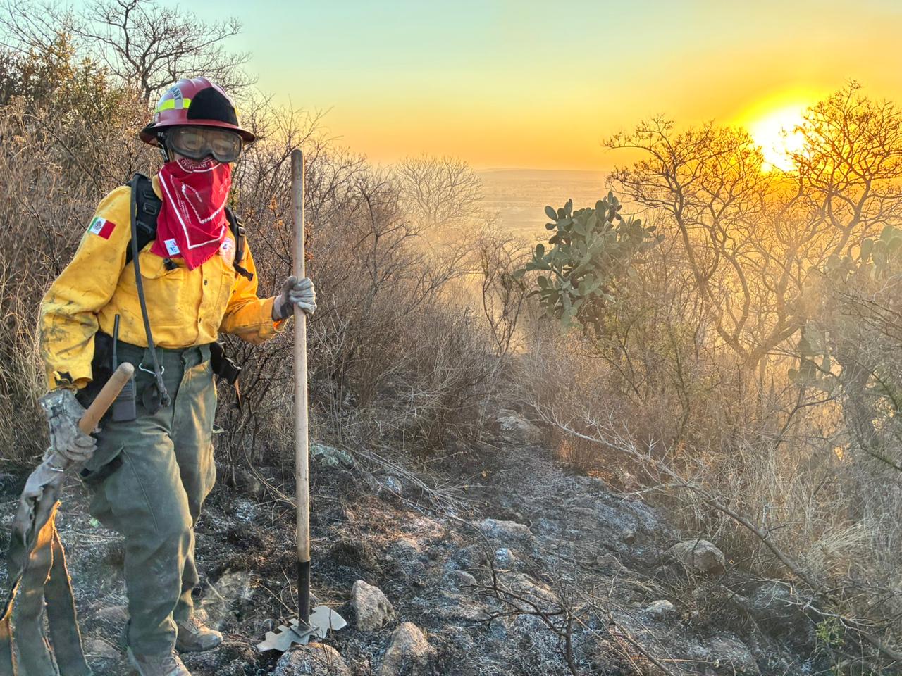 CRECE MATRÍCULA DE MUJERES EN CARRERAS DE CIENCIA, TECNOLOGÍA E INGENIERÍAS EN GUANAJUATO