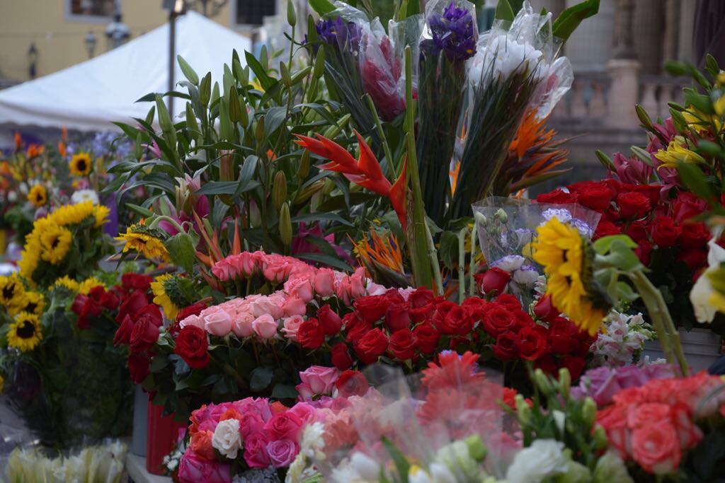 GUANAJUATO SE LLENA DE COLOR CON EL DÍA DE LAS FLORES
