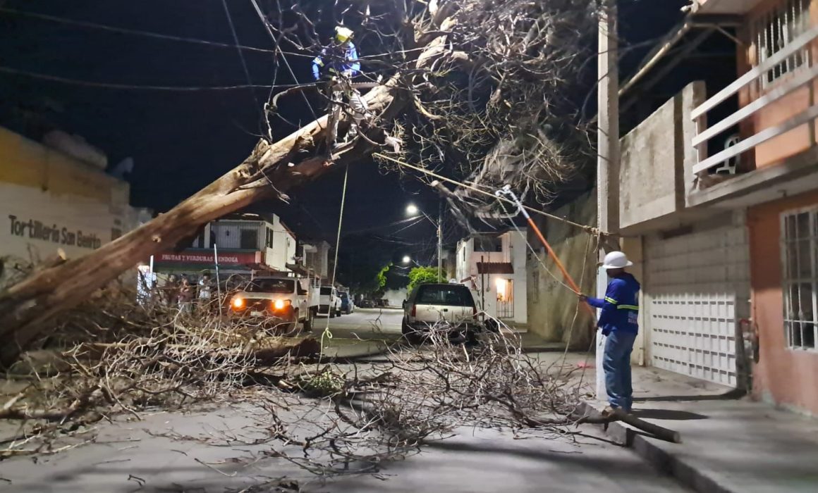 FUERTES VIENTOS EN LEÓN PROVOCAN APAGONES Y CAÍDA DE POSTES DURANTE PASO DE FRENTE FRÍO