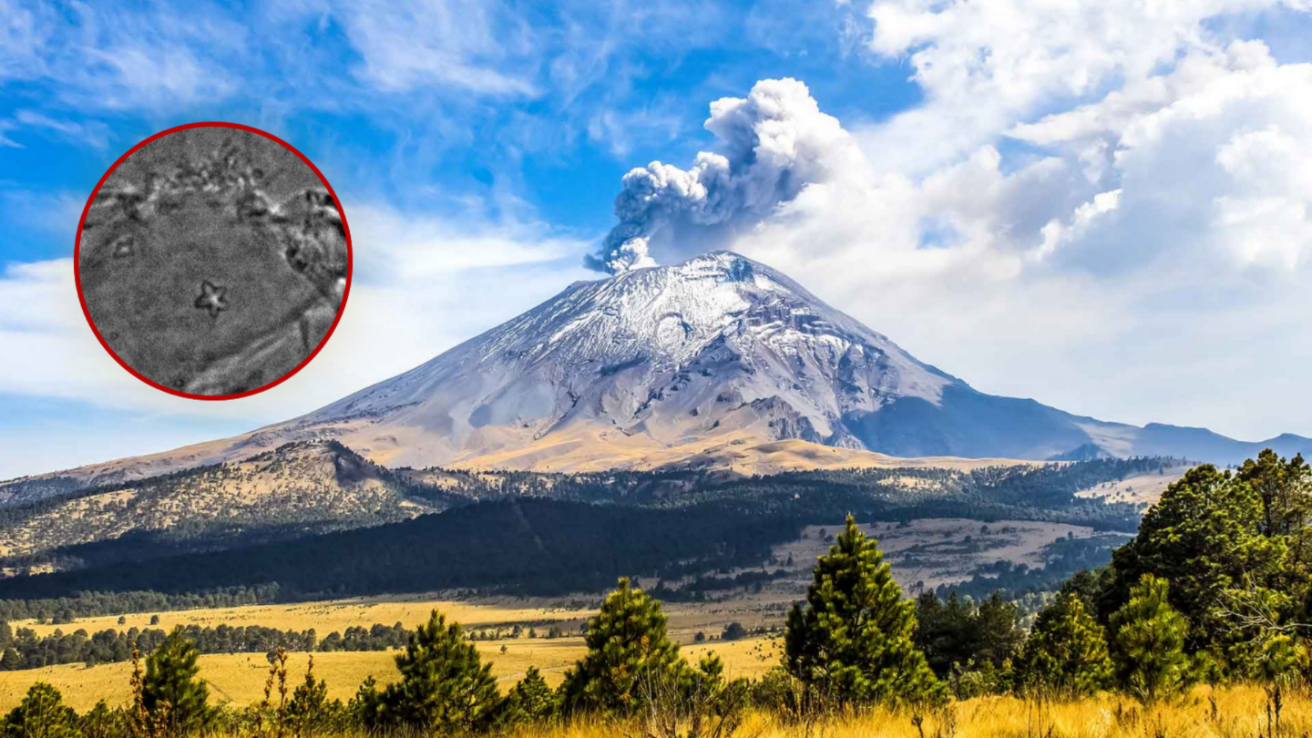 DESCUBREN NUEVA ESPECIE DE “OSITO DE AGUA” EN EL IZTACCÍHUATL