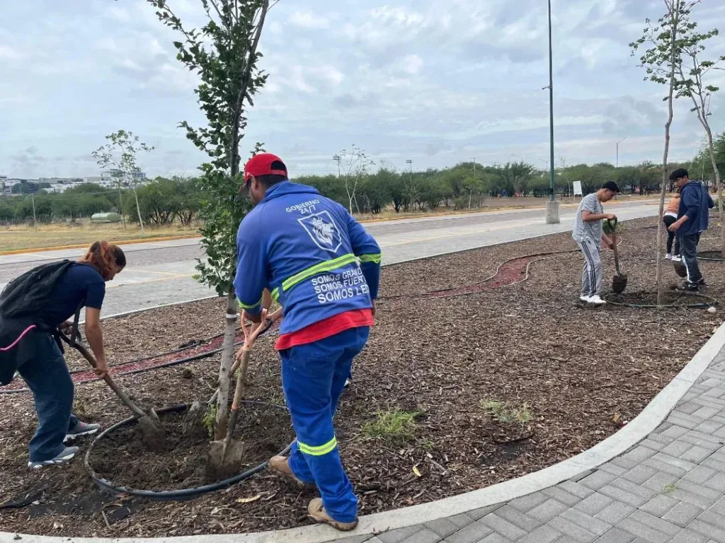 LEÓN PREPARA SU CAMPAÑA DE FORESTACIÓN Y REFORESTACIÓN 2026